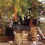 Aparthotel Golden Sun 2*